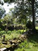 Jardin 1