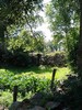 jardin 2