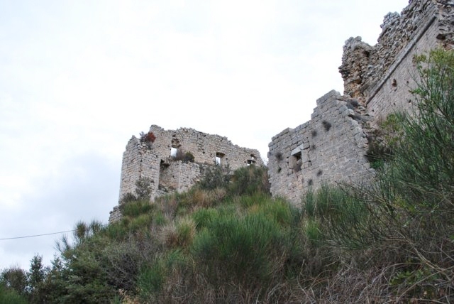 Le castellas , Forcalqueiret 